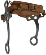 CP Hackamore Flc Lea Nose HORS 