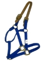 Nyl Hltr Avg Hor Brk Awy BLUE 